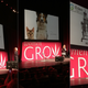 “Team first” was a common ethos; the weed for pets with cancer talk was very affecting; an extraction system from Eden Labs